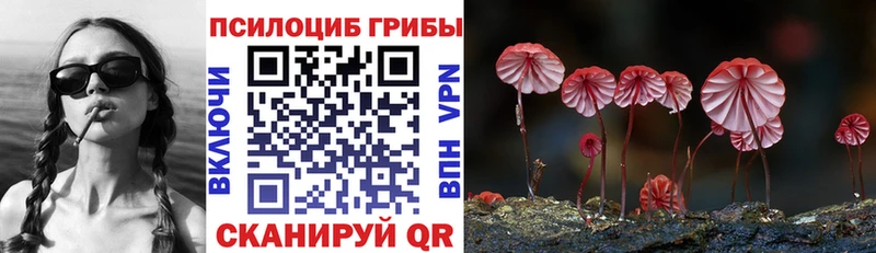 Галлюциногенные грибы мицелий  купить закладку  Невель 